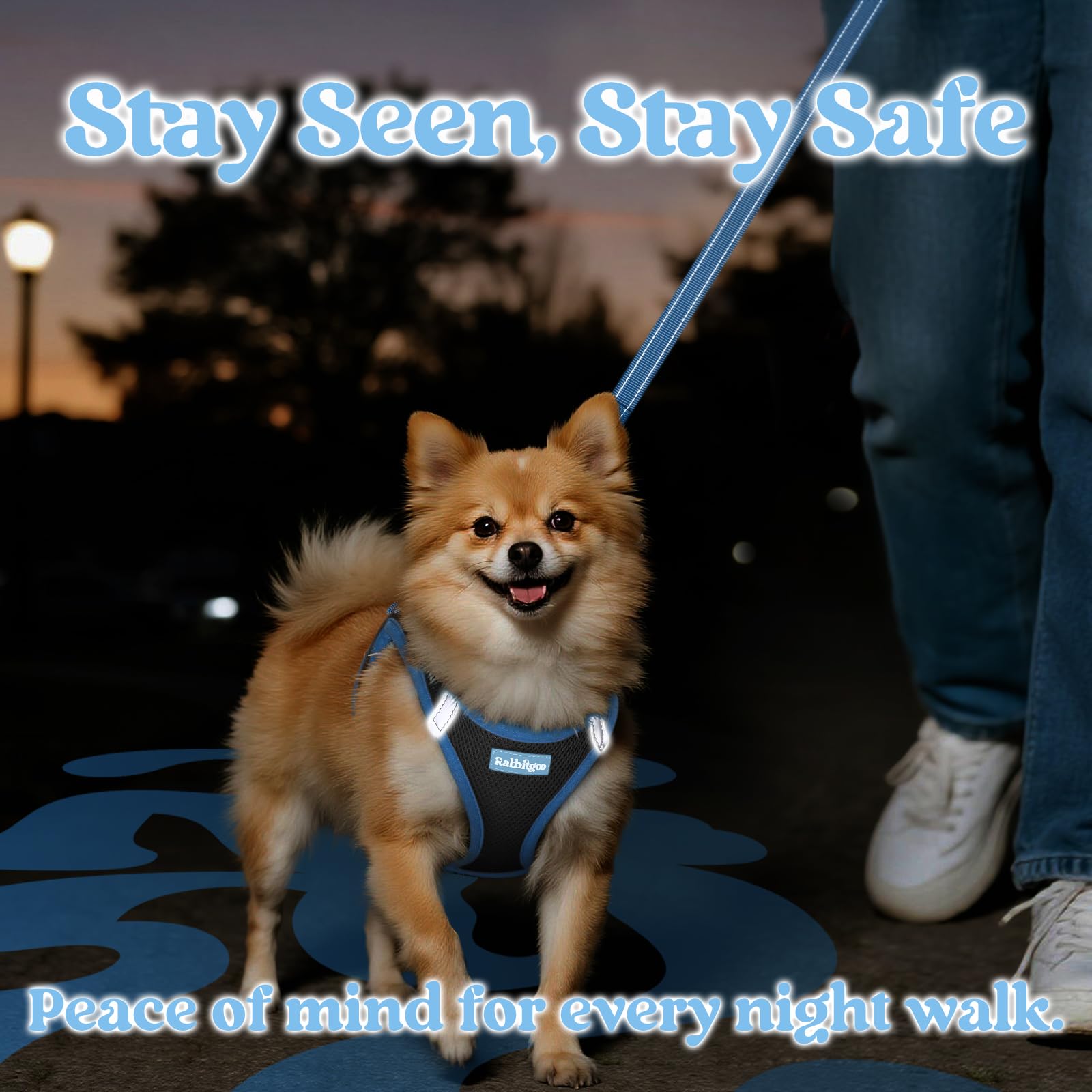 rabbitgoo Small Dog Harness & Leash Set – Step-In, Reflective, Breathable Vest for Small Breeds, M (Black & Light Blue)