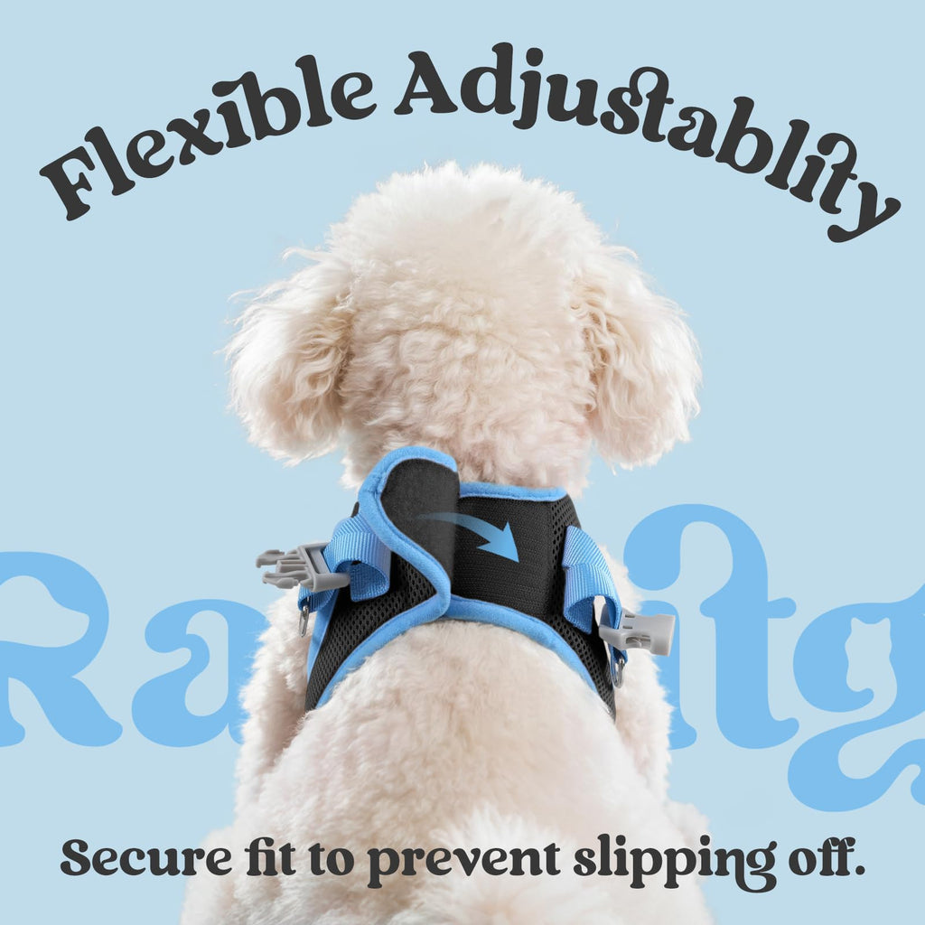 rabbitgoo Small Dog Harness & Leash Set – Step-In, Reflective, Breathable Vest for Small Breeds, M (Black & Light Blue)