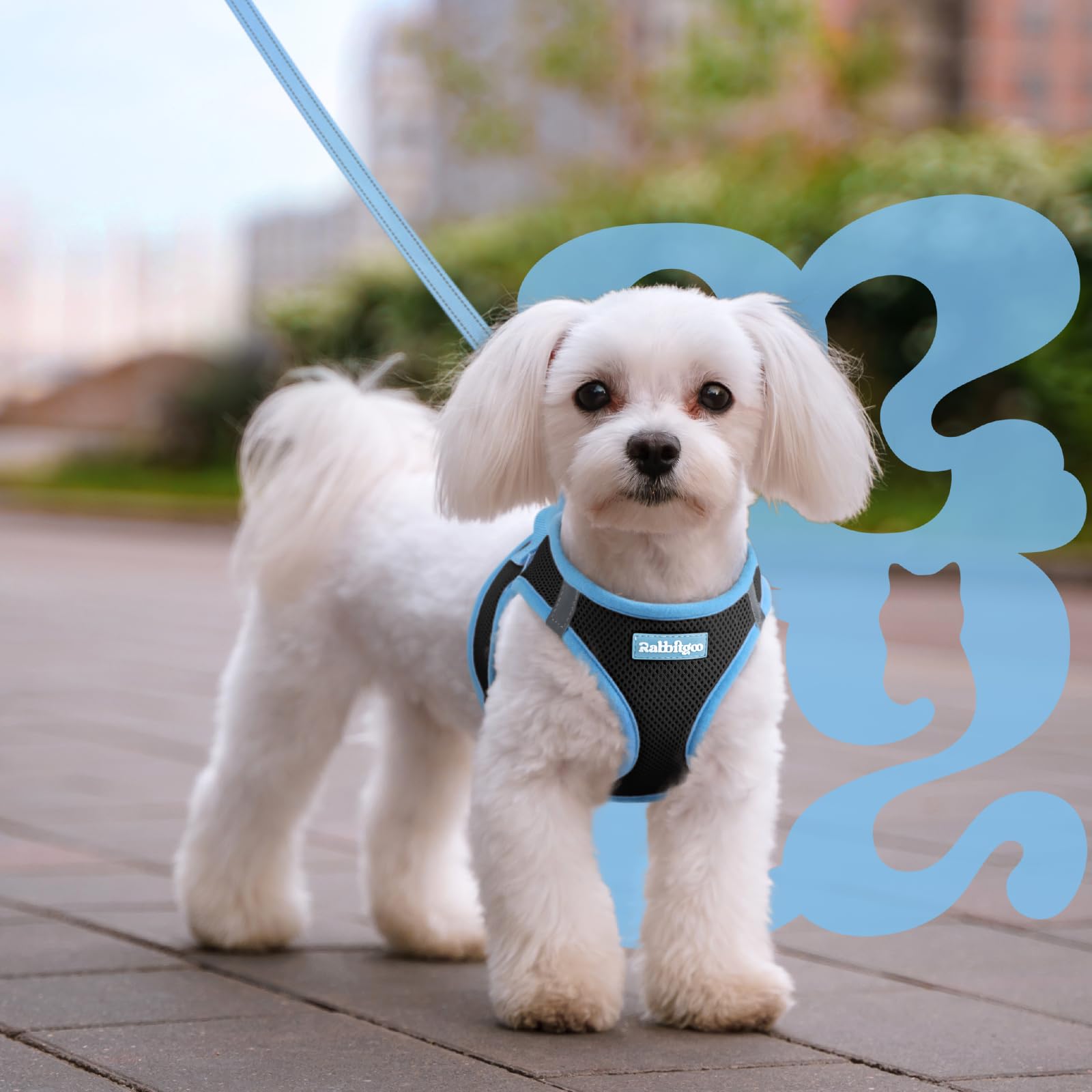 rabbitgoo Small Dog Harness & Leash Set – Step-In, Reflective, Breathable Vest for Small Breeds, M (Black & Light Blue)