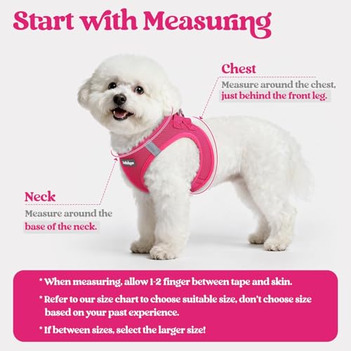 rabbitgoo Small Dog Harness & Leash Set – Step-in Vest, Breathable Mesh, Reflective, Rose Red (Size S)