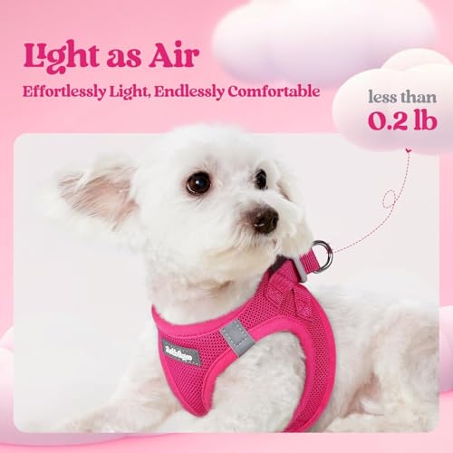 rabbitgoo Small Dog Harness & Leash Set – Step-in Vest, Breathable Mesh, Reflective, Rose Red (Size S)