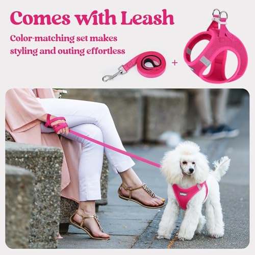 rabbitgoo Small Dog Harness & Leash Set – Step-in Vest, Breathable Mesh, Reflective, Rose Red (Size S)