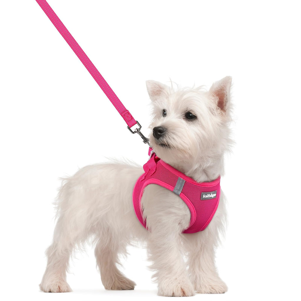 rabbitgoo Small Dog Harness & Leash Set – Step-in Vest, Breathable Mesh, Reflective, Rose Red (Size S)