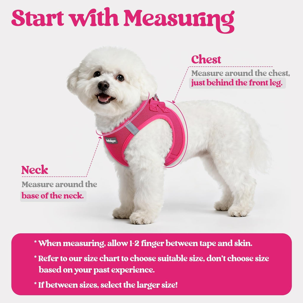 rabbitgoo Small Dog Harness & Leash Set – Step-in Vest, Breathable Mesh, Reflective, Rose Red (Size S)
