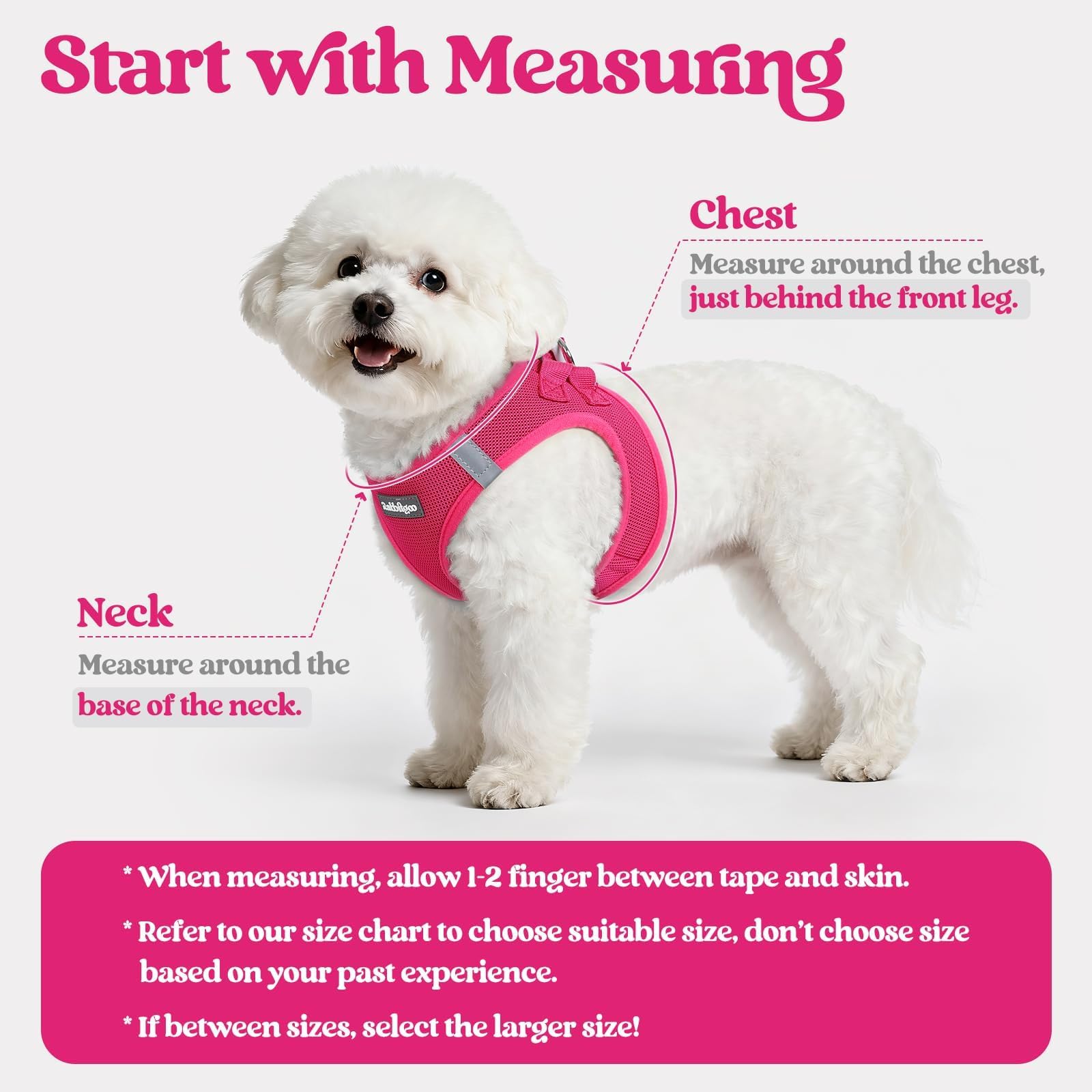 rabbitgoo Small Dog Harness & Leash Set – Step-in Vest, Breathable Mesh, Reflective, Rose Red (Size S)