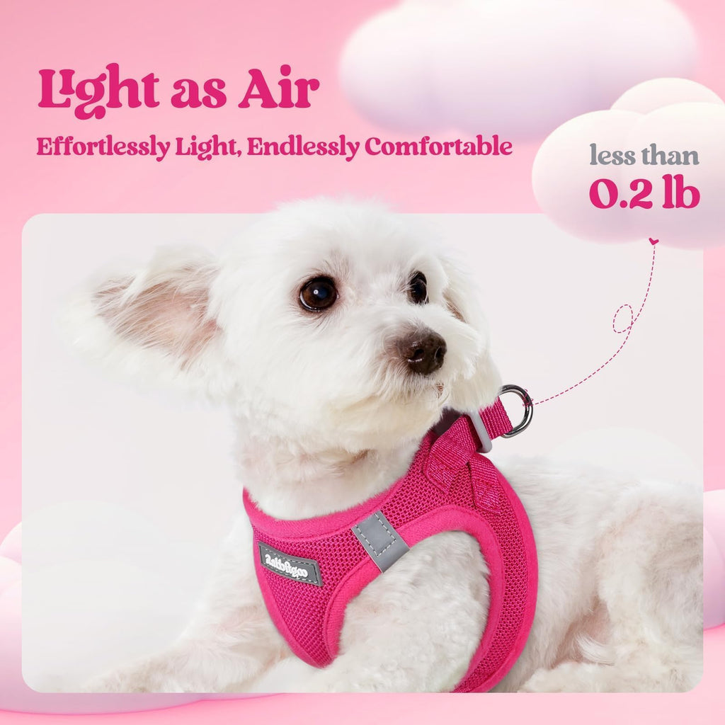 rabbitgoo Small Dog Harness & Leash Set – Step-in Vest, Breathable Mesh, Reflective, Rose Red (Size S)