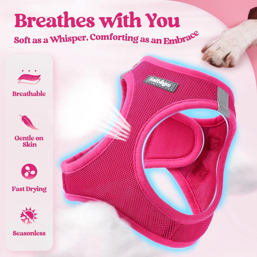 rabbitgoo Small Dog Harness & Leash Set – Step-in Vest, Breathable Mesh, Reflective, Rose Red (Size S)
