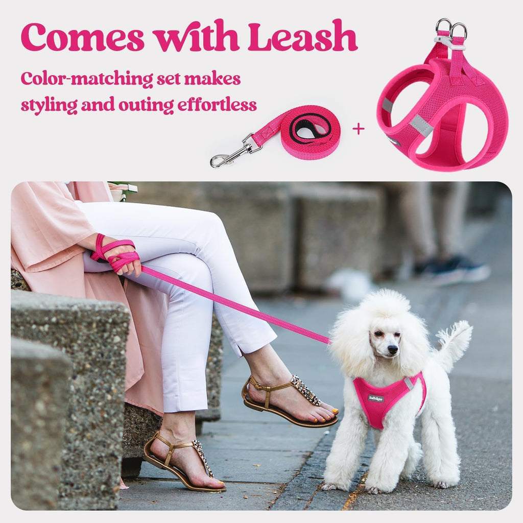 rabbitgoo Small Dog Harness & Leash Set – Step-in Vest, Breathable Mesh, Reflective, Rose Red (Size S)
