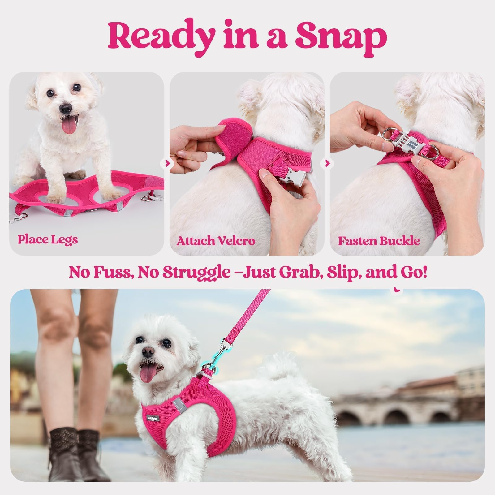 rabbitgoo Small Dog Harness & Leash Set – Step-in Vest, Breathable Mesh, Reflective, Rose Red (Size S)