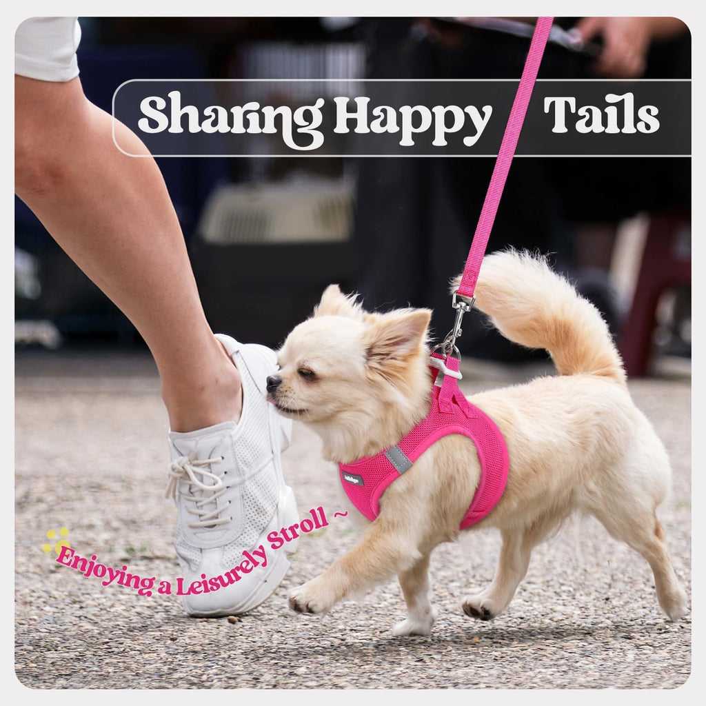 rabbitgoo Small Dog Harness & Leash Set – Step-in Vest, Breathable Mesh, Reflective, Rose Red (Size S)