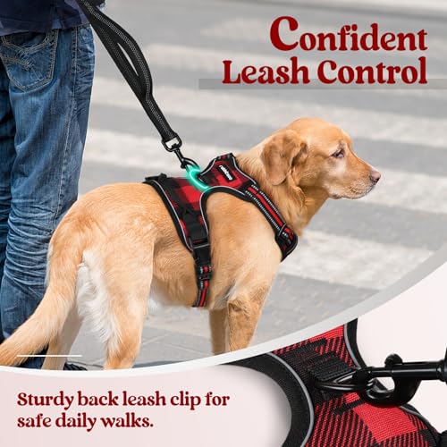 rabbitgoo Small Dog Harness No Pull Checkered Red Plaid S - Adjustable Padded Vest with Handle