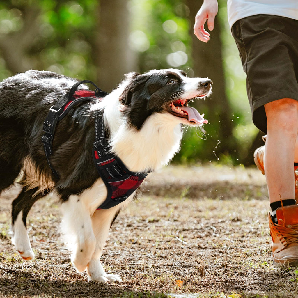 rabbitgoo Small Dog Harness No Pull Checkered Red Plaid S - Adjustable Padded Vest with Handle