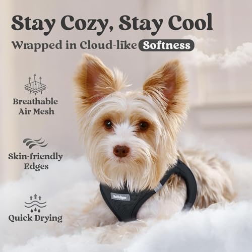 rabbitgoo Small Dog Harness XXS Black – Step-In Breathable Mesh Vest for Tiny Pup
