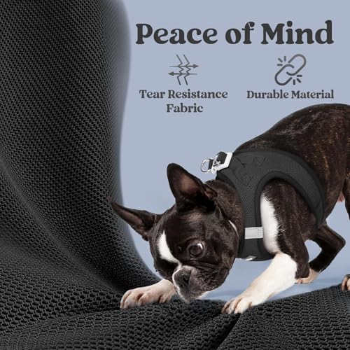 rabbitgoo Small Dog Harness XXS Black – Step-In Breathable Mesh Vest for Tiny Pup
