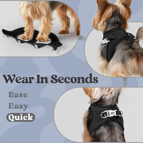 rabbitgoo Small Dog Harness XXS Black – Step-In Breathable Mesh Vest for Tiny Pup