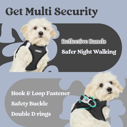 rabbitgoo Small Dog Harness XXS Black – Step-In Breathable Mesh Vest for Tiny Pup