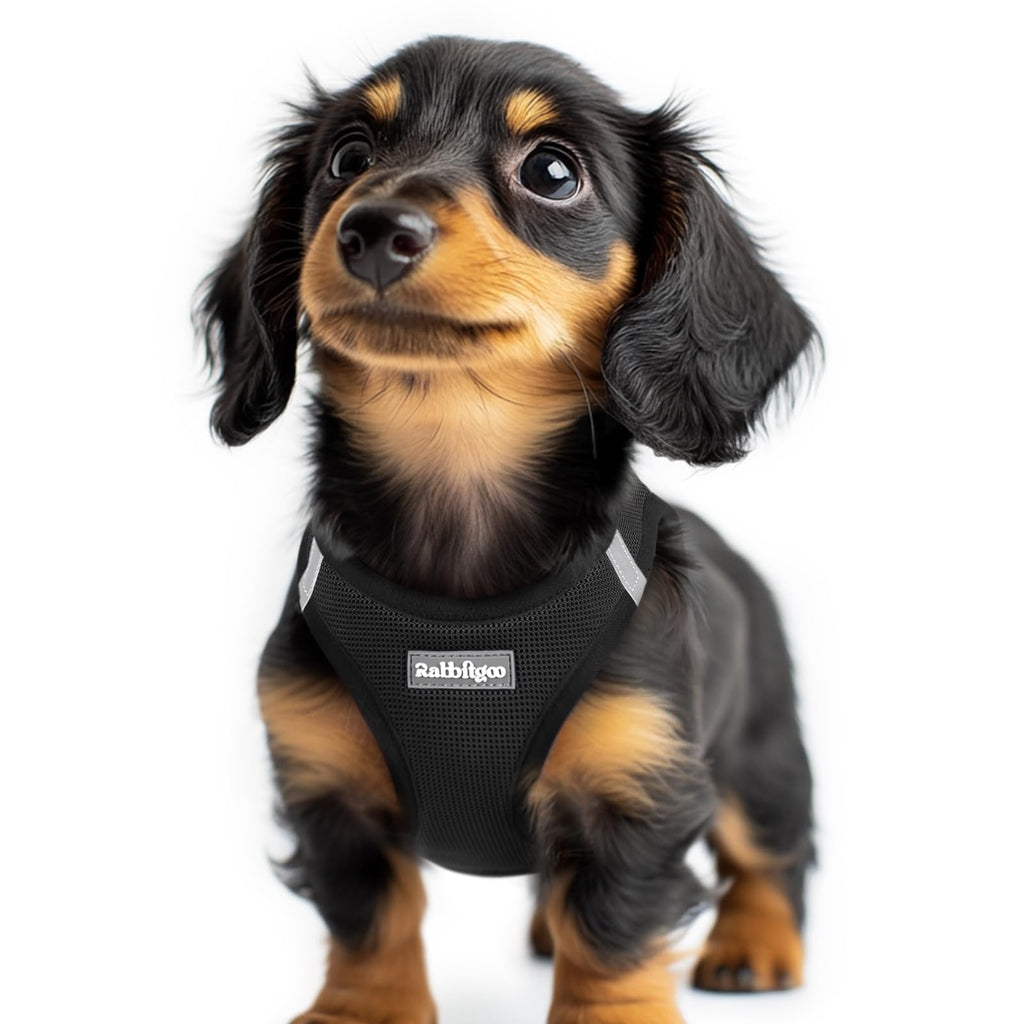 rabbitgoo Small Dog Harness XXS Black – Step-In Breathable Mesh Vest for Tiny Pup
