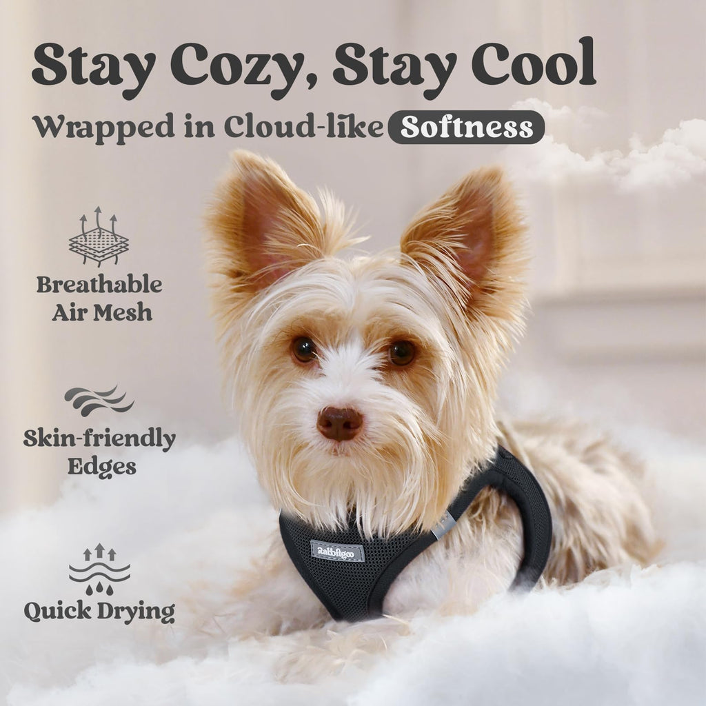 rabbitgoo Small Dog Harness XXS Black – Step-In Breathable Mesh Vest for Tiny Pup