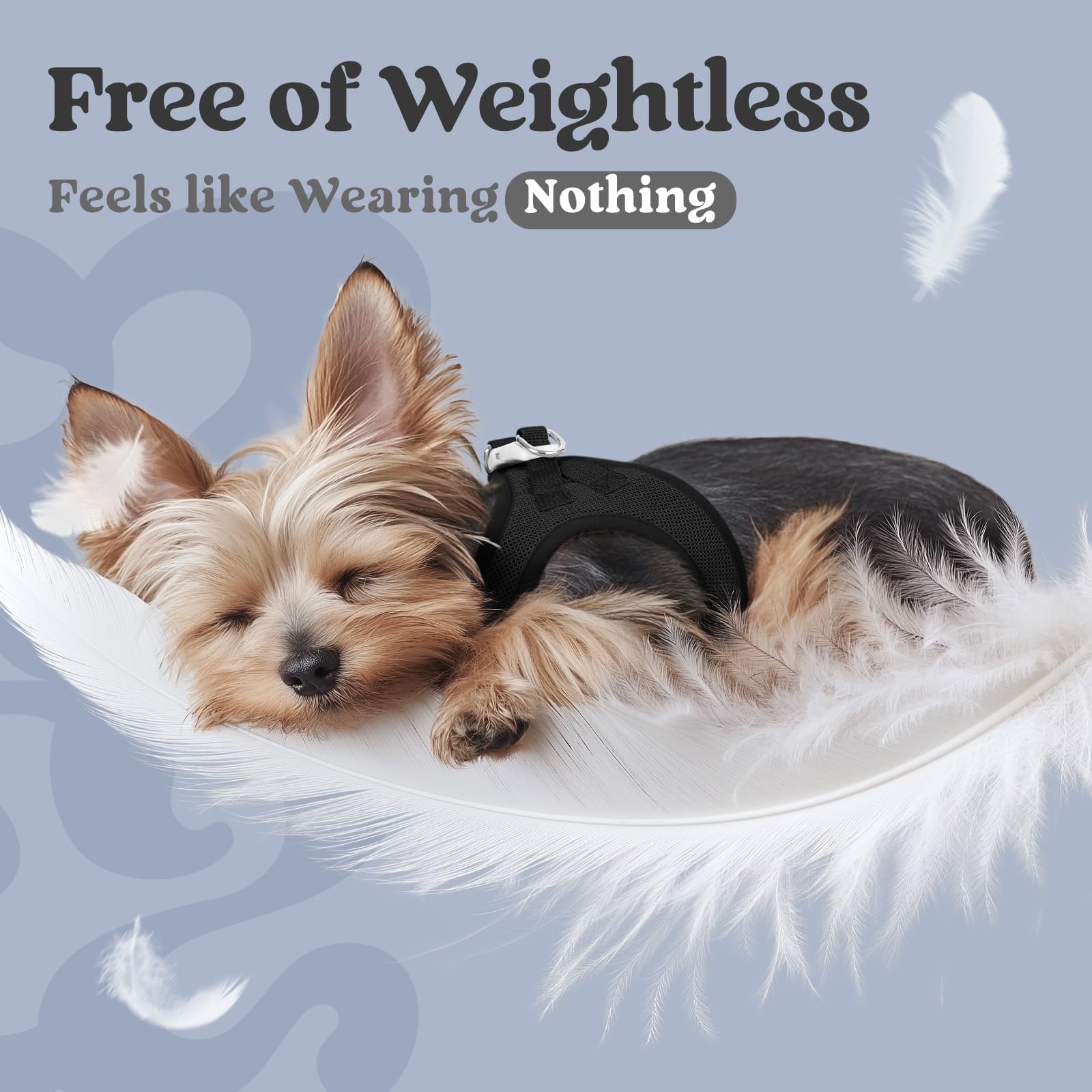 rabbitgoo Small Dog Harness XXS Black – Step-In Breathable Mesh Vest for Tiny Pup