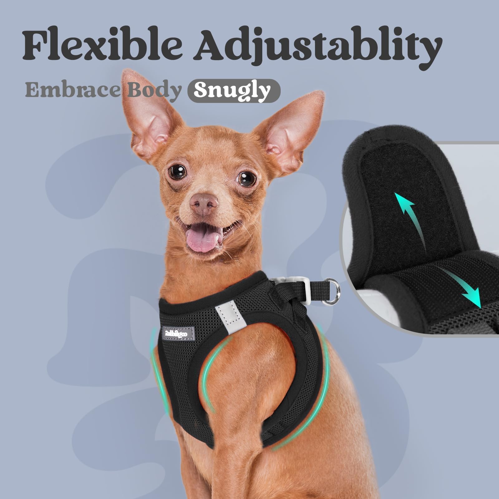 rabbitgoo Small Dog Harness XXS Black – Step-In Breathable Mesh Vest for Tiny Pup