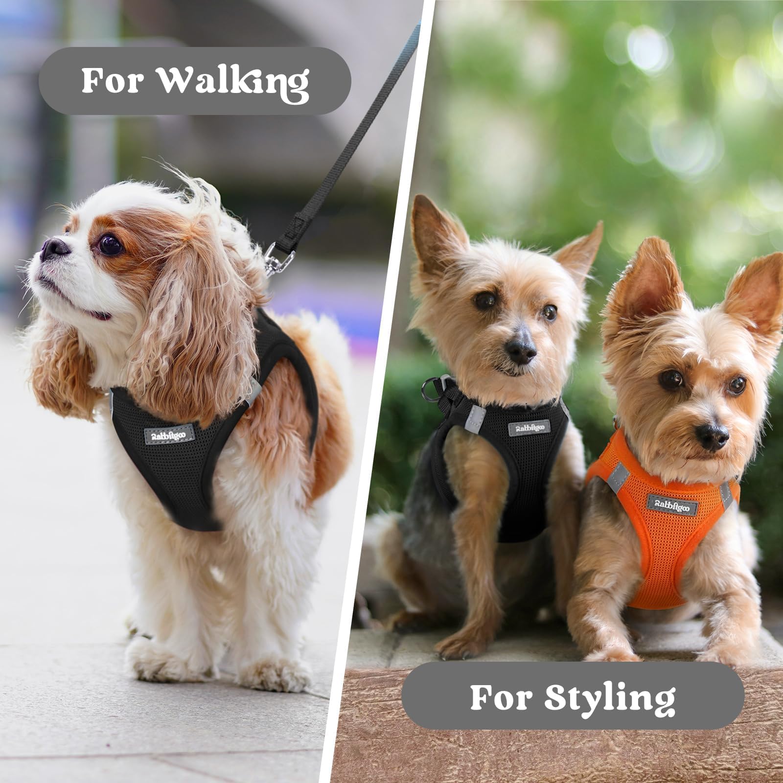 rabbitgoo Small Dog Harness XXS Black – Step-In Breathable Mesh Vest for Tiny Pup