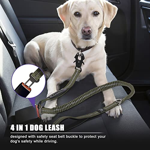 Raipult Heavy Duty Tactical Dog Leash with Shock Absorbing Bungee, 2 Handles & Quick Release Clip – For Medium to Large Dogs (Ranger Green)