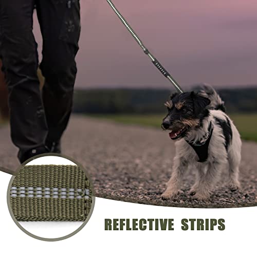Raipult Heavy Duty Tactical Dog Leash with Shock Absorbing Bungee, 2 Handles & Quick Release Clip – For Medium to Large Dogs (Ranger Green)