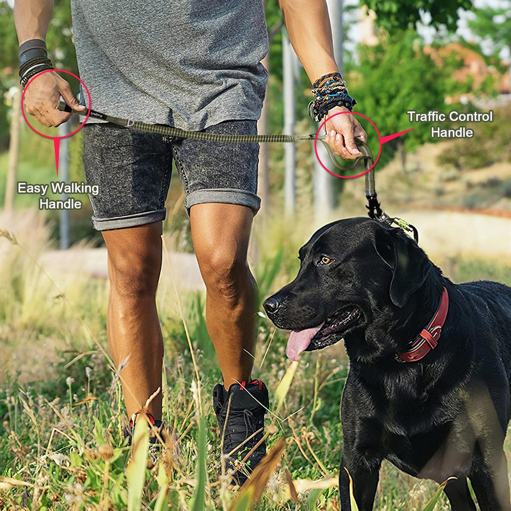 Raipult Heavy Duty Tactical Dog Leash with Shock Absorbing Bungee, 2 Handles & Quick Release Clip – For Medium to Large Dogs (Ranger Green)