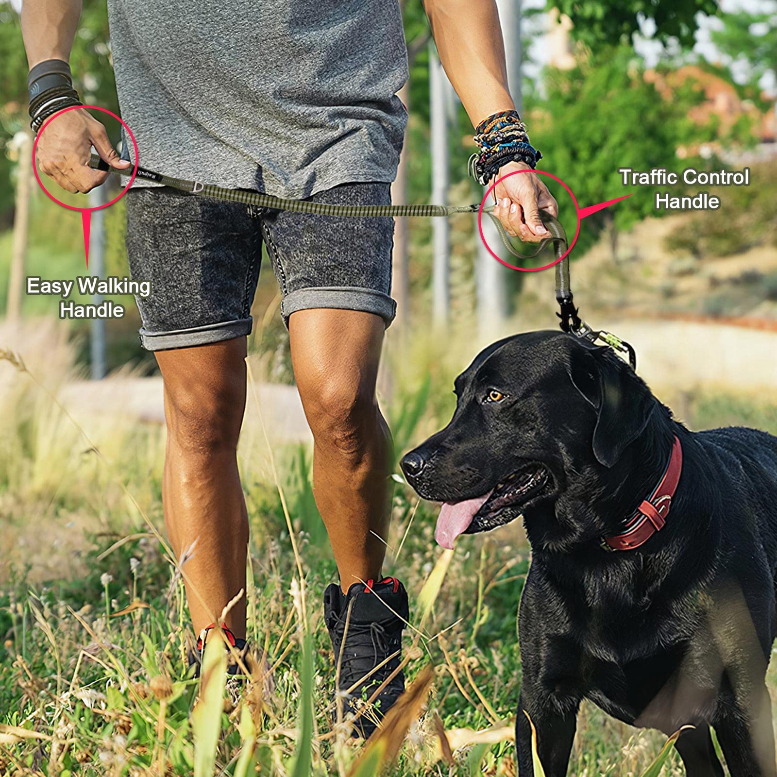 Raipult Heavy Duty Tactical Dog Leash with Shock Absorbing Bungee, 2 Handles & Quick Release Clip – For Medium to Large Dogs (Ranger Green)