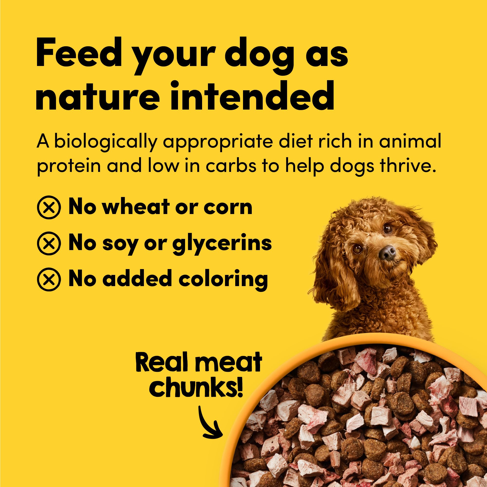 RawMix50 Chicken Freeze-Dried Raw Dog Food – 50% Organ Meat, High Protein, Grain-Free, 12 oz