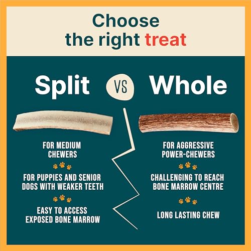 REXIPETS Small Split Elk Antler Dog Chew – Grade A, Naturally Shed, No Odor – 4 x 0.5 x 0.5 inches
