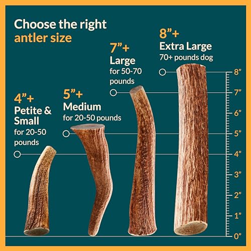 REXIPETS Small Split Elk Antler Dog Chew – Grade A, Naturally Shed, No Odor – 4 x 0.5 x 0.5 inches