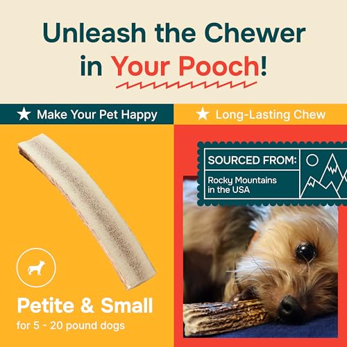 REXIPETS Small Split Elk Antler Dog Chew – Grade A, Naturally Shed, No Odor – 4 x 0.5 x 0.5 inches