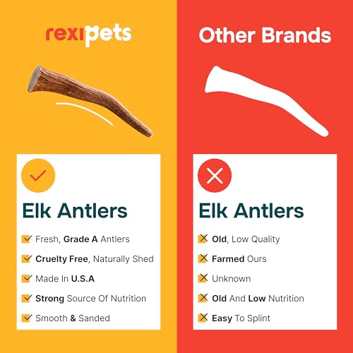 REXIPETS Small Split Elk Antler Dog Chew – Grade A, Naturally Shed, No Odor – 4 x 0.5 x 0.5 inches