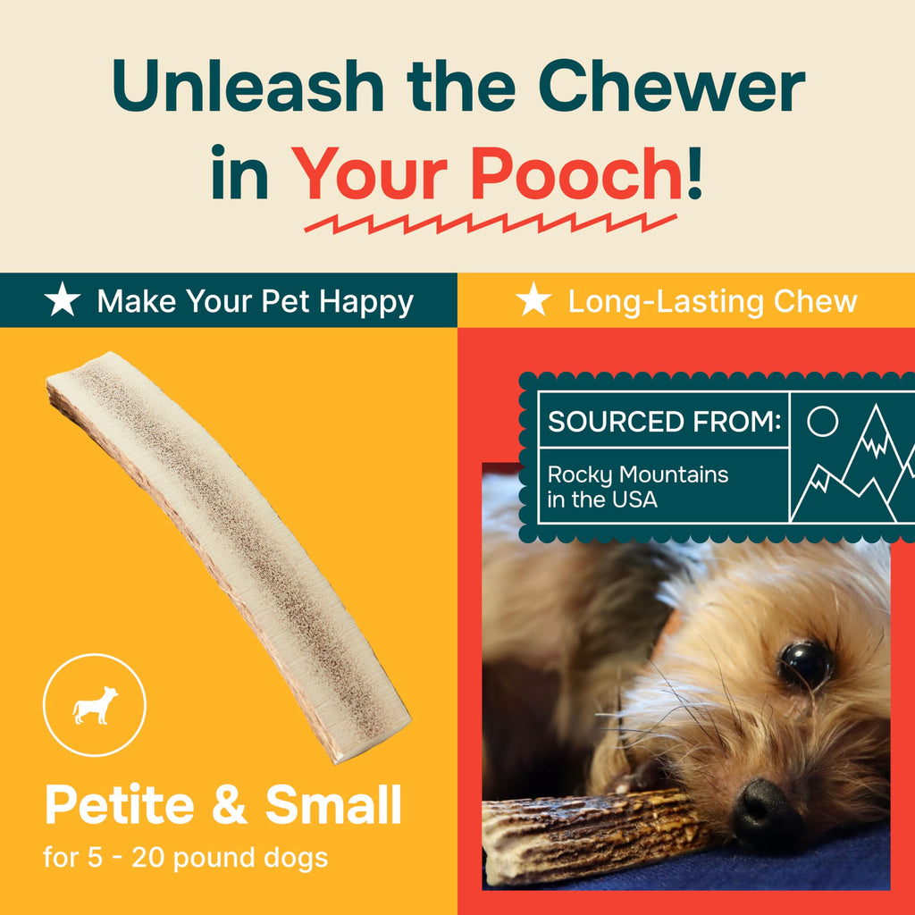 REXIPETS Small Split Elk Antler Dog Chew – Grade A, Naturally Shed, No Odor – 4 x 0.5 x 0.5 inches