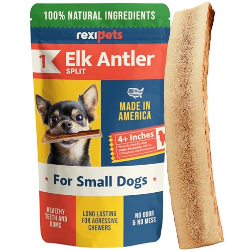 REXIPETS Small Split Elk Antler Dog Chew – Grade A, Naturally Shed, No Odor – 4 x 0.5 x 0.5 inches
