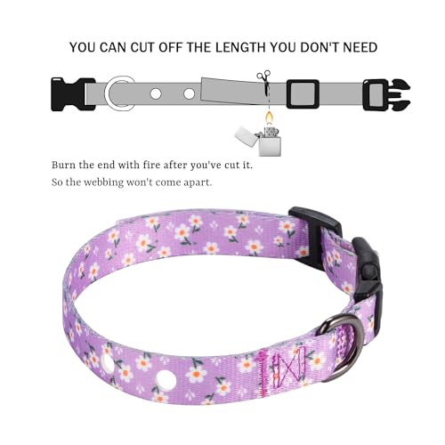 Rhea Rose 3/4 Inch Replacement Collar Strap for Dog E-Collars - Lavender Floral, Fits 9-26 Inch Neck