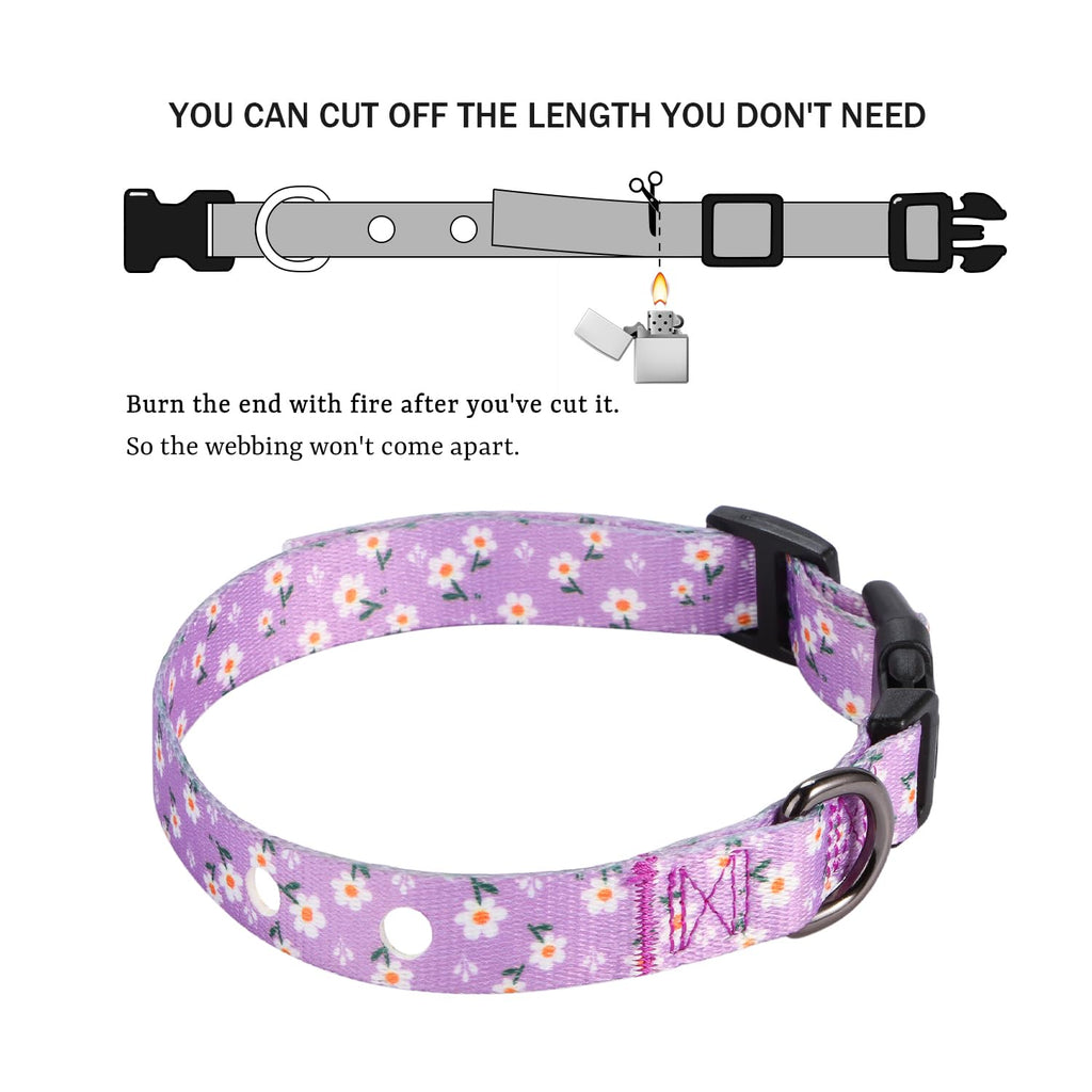 Rhea Rose 3/4 Inch Replacement Collar Strap for Dog E-Collars - Lavender Floral, Fits 9-26 Inch Neck