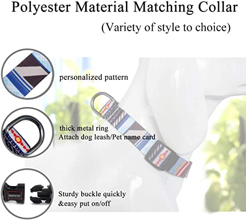 Roses&Poetry Blue-Stripe Adjustable Dog Collar for Extra Small Dogs – Lightweight Polyester with Quick Release Buckle