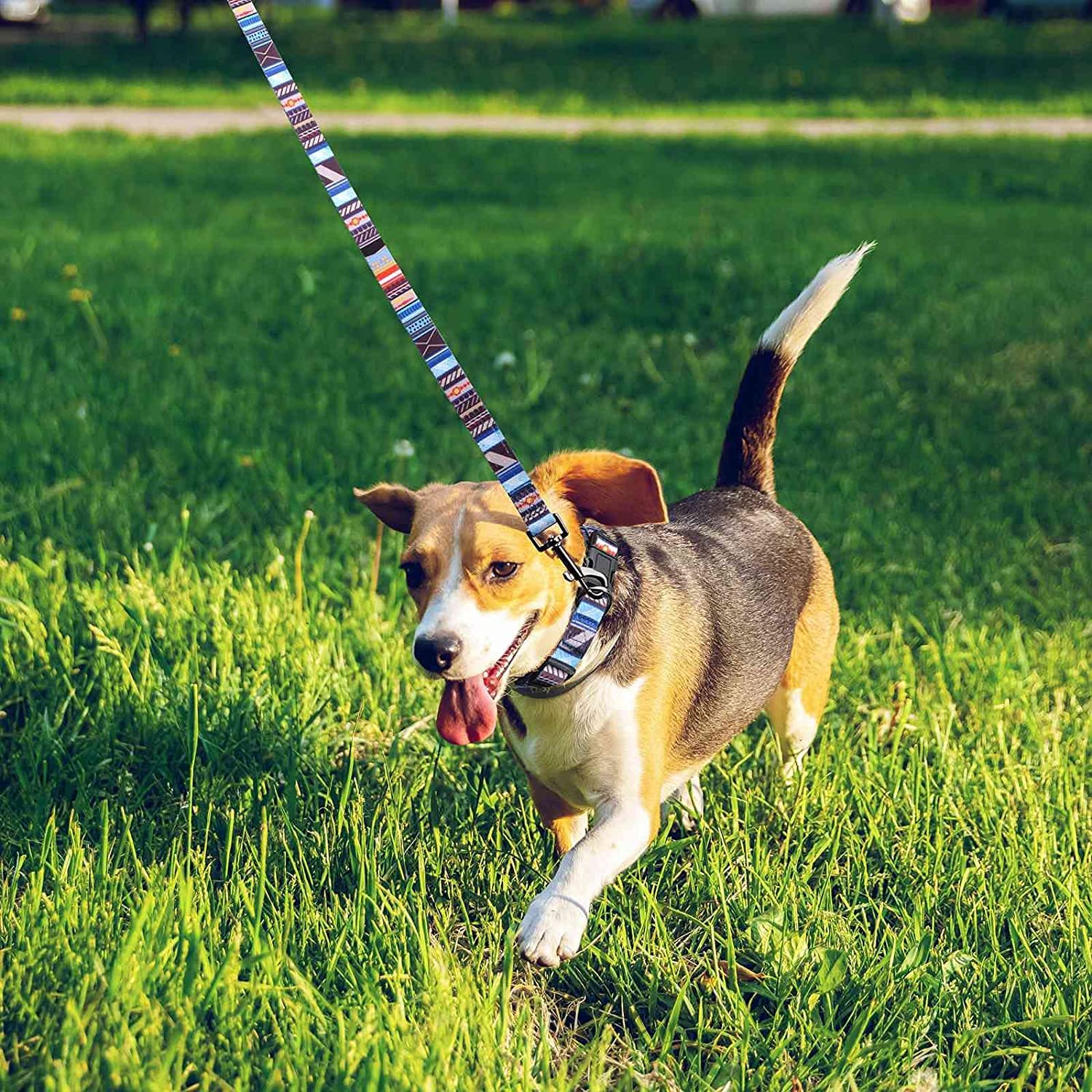 Roses&Poetry Blue-Stripe Adjustable Dog Collar for Extra Small Dogs – Lightweight Polyester with Quick Release Buckle