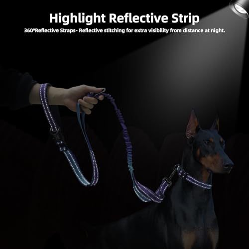 Roses&Poetry Hands-Free Bungee Dog Leash for Medium to Large Dogs – Heavy Duty No-Pull Waist Leash with Dual Handles and Car Seatbelt Clip, 4-6FT, Violet