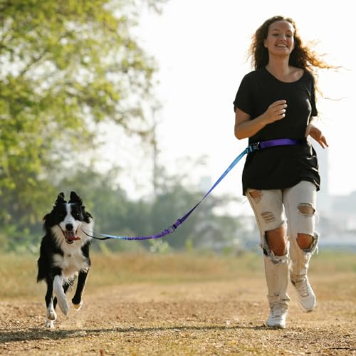 Roses&Poetry Hands-Free Bungee Dog Leash for Medium to Large Dogs – Heavy Duty No-Pull Waist Leash with Dual Handles and Car Seatbelt Clip, 4-6FT, Violet