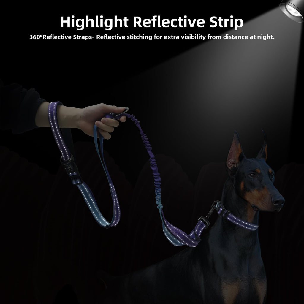 Roses&Poetry Hands-Free Bungee Dog Leash for Medium to Large Dogs – Heavy Duty No-Pull Waist Leash with Dual Handles and Car Seatbelt Clip, 4-6FT, Violet