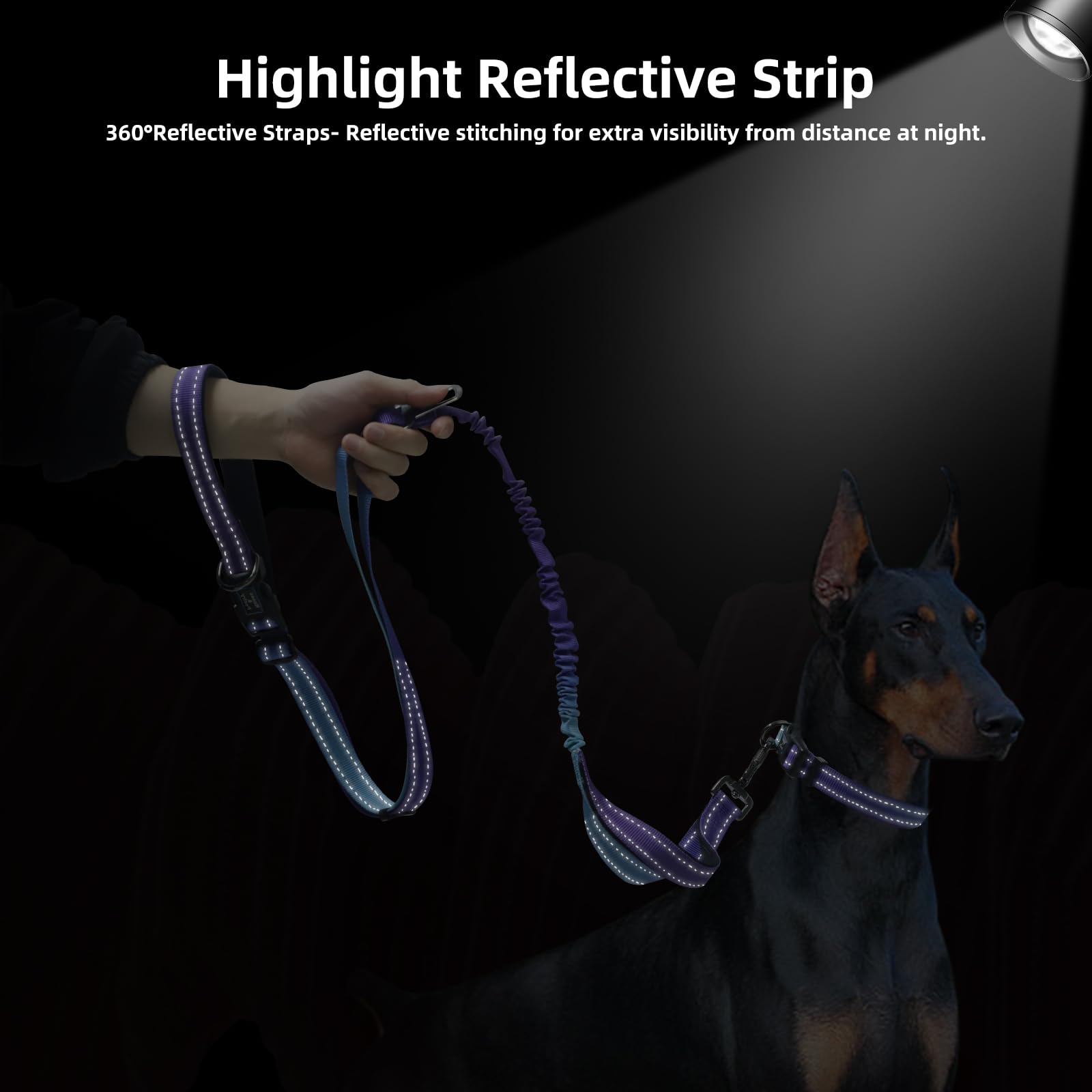 Roses&Poetry Hands-Free Bungee Dog Leash for Medium to Large Dogs – Heavy Duty No-Pull Waist Leash with Dual Handles and Car Seatbelt Clip, 4-6FT, Violet