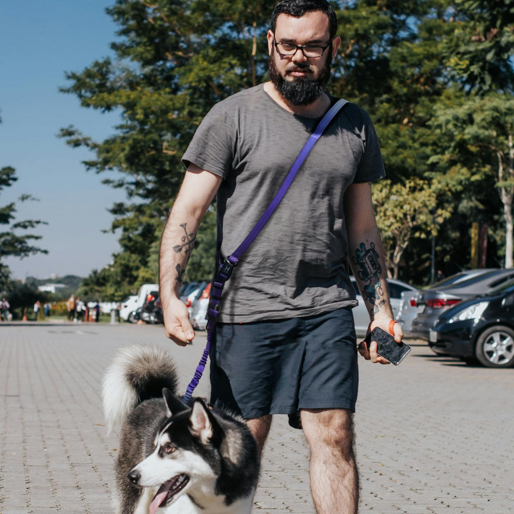 Roses&Poetry Hands-Free Bungee Dog Leash for Medium to Large Dogs – Heavy Duty No-Pull Waist Leash with Dual Handles and Car Seatbelt Clip, 4-6FT, Violet