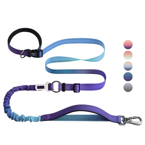 Roses&Poetry Hands-Free Bungee Dog Leash for Medium to Large Dogs – Heavy Duty No-Pull Waist Leash with Dual Handles and Car Seatbelt Clip, 4-6FT, Violet