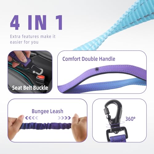 Roses&Poetry Hands-Free Bungee Dog Leash for Medium to Large Dogs – Heavy Duty No-Pull Waist Leash with Dual Handles and Car Seatbelt Clip, 4-6FT, Violet