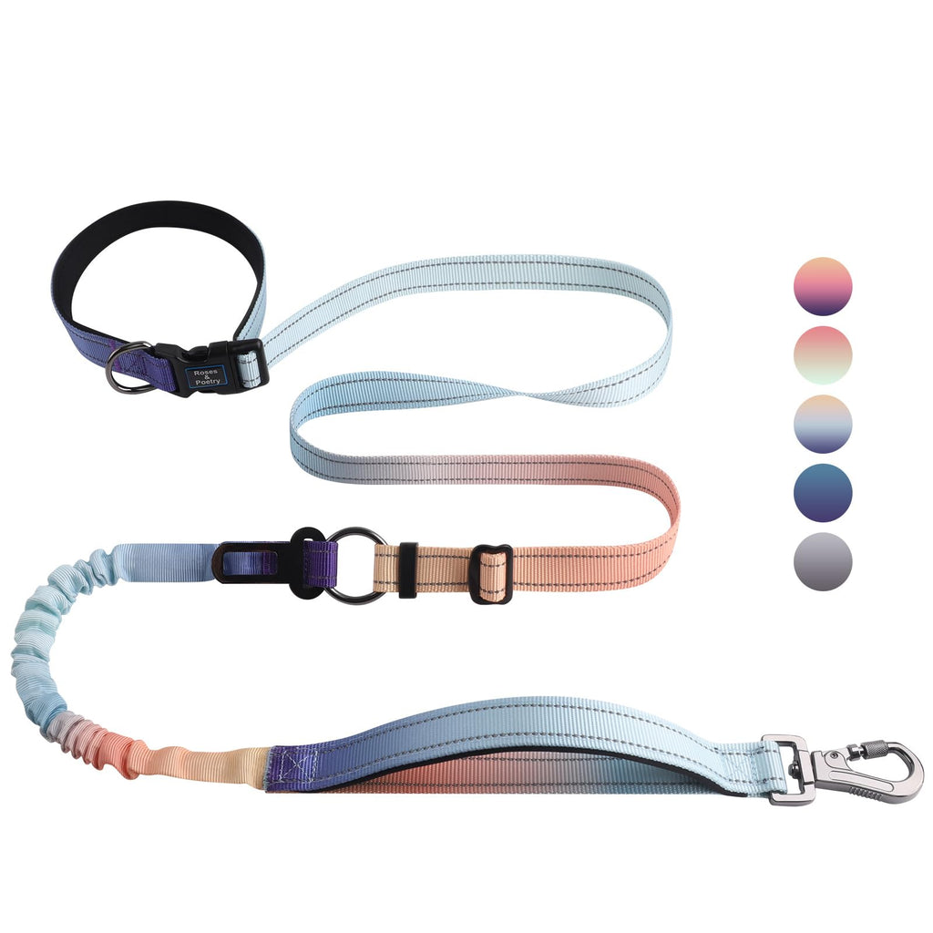 Roses&Poetry Hands-Free Bungee Dog Leash – No Pull Waist Leash for Medium to Large Dogs, 4-6 FT Adjustable