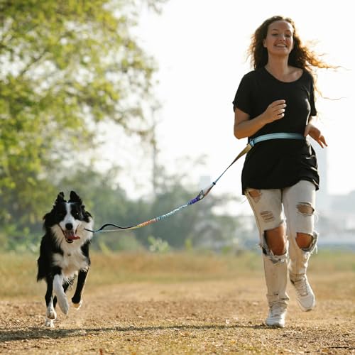 Roses&Poetry Hands-Free Bungee Dog Leash – No Pull Waist Leash for Medium to Large Dogs, 4-6 FT Adjustable