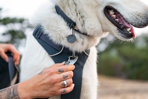 Ruffwear Front Range Dog Collar - Basalt Gray, Adjustable 14-20 Inches, Lightweight Polyester with Aluminum V-Ring
